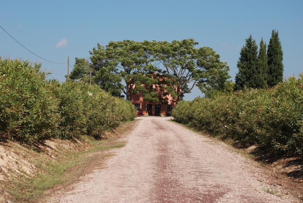 Agriturismo Le Coccinelle Vendégház Magliano in Toscana Kültér fotó
