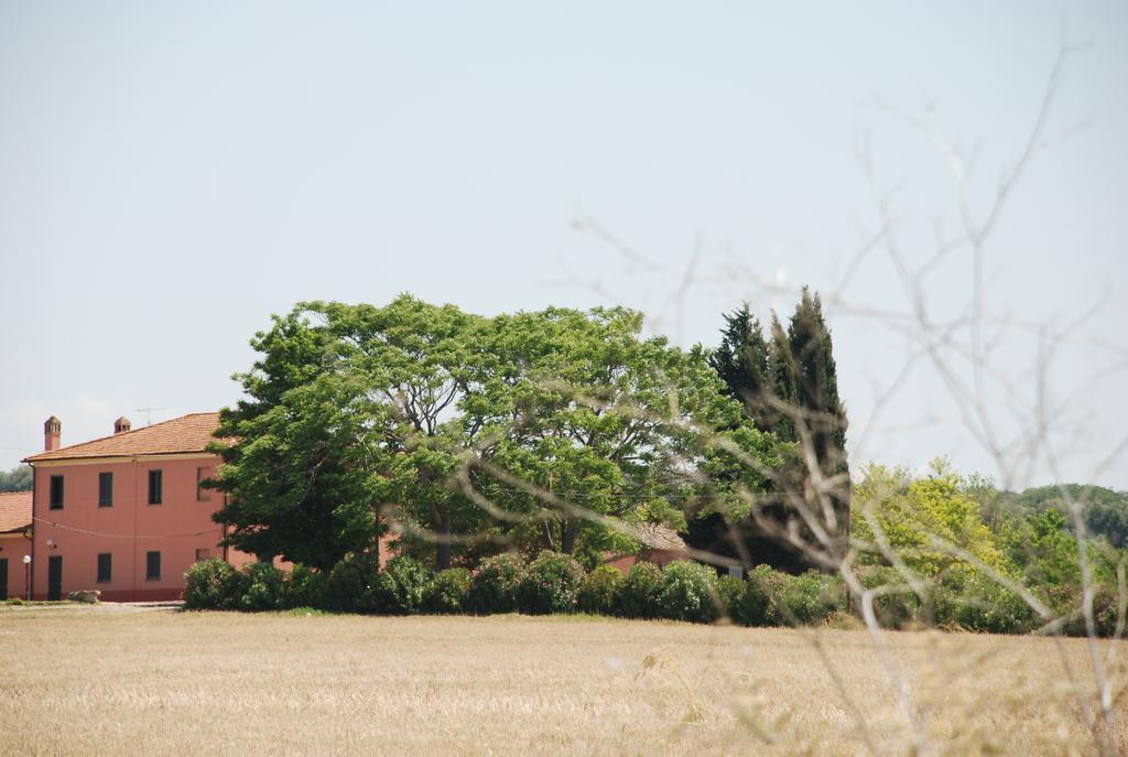 Agriturismo Le Coccinelle Vendégház Magliano in Toscana Kültér fotó